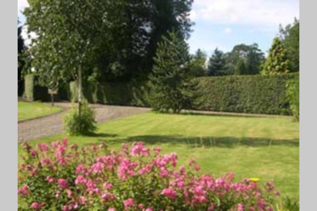 Harleyburn Cottages - Stables And Saddlery Melrose Eksteriør billede